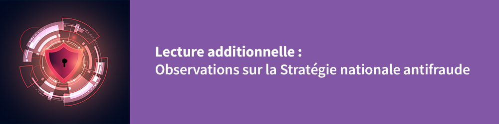 Lecture additionnelle : Observations sur la Stratégie nationale antifraude
